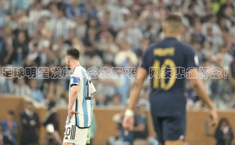 艾弗森代言贝博app下载遥望科技足球明星发声悼念袁隆平，网友悲痛怀念！