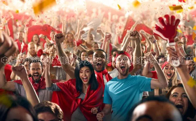 贝博APP体育网页华扬联众中国足球运动场训练的秘密：专业训练技巧与最新趋势