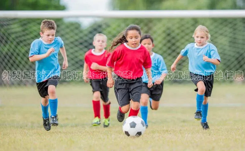 BB·贝博狼堡光魔科技外贸足球运动服订单查询攻略，快速获取最新订单信息