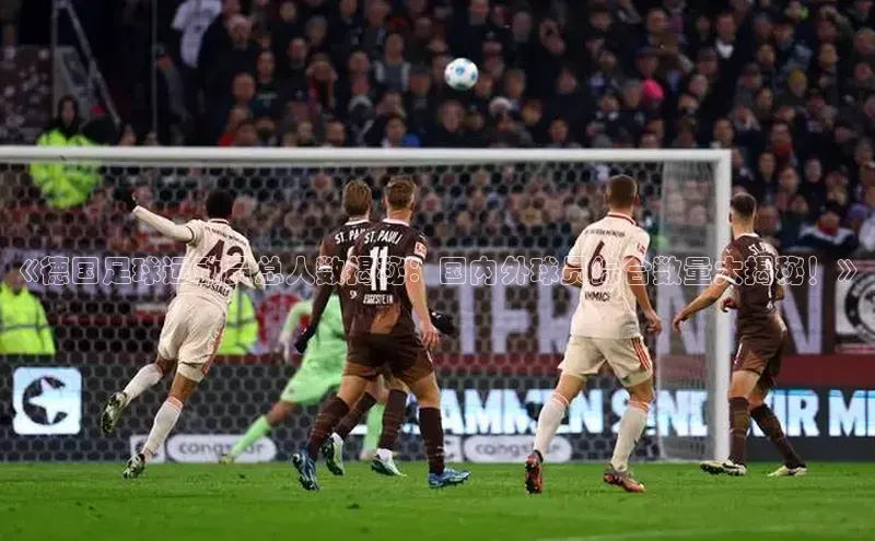 BB贝博艾弗森官方网站网易《德国足球运动员总人数揭秘：国内外球员综合数量大揭秘！》