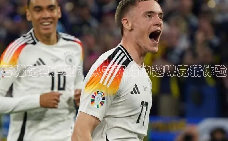 香港跑狗运动：从零开始的趣味竞猜体验