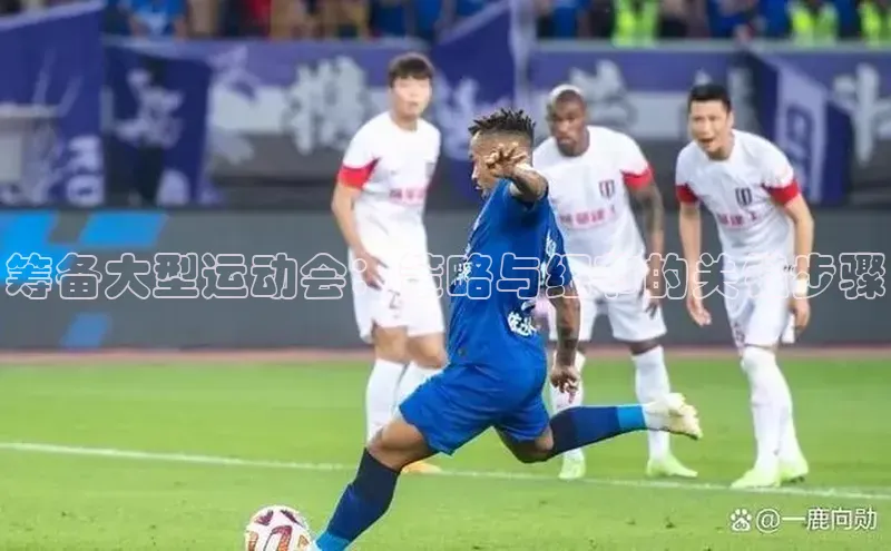 筹备大型运动会：策略与细节的关键步骤