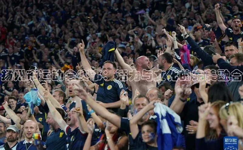 扬州市运动会赛事：活力与文化的完美融合