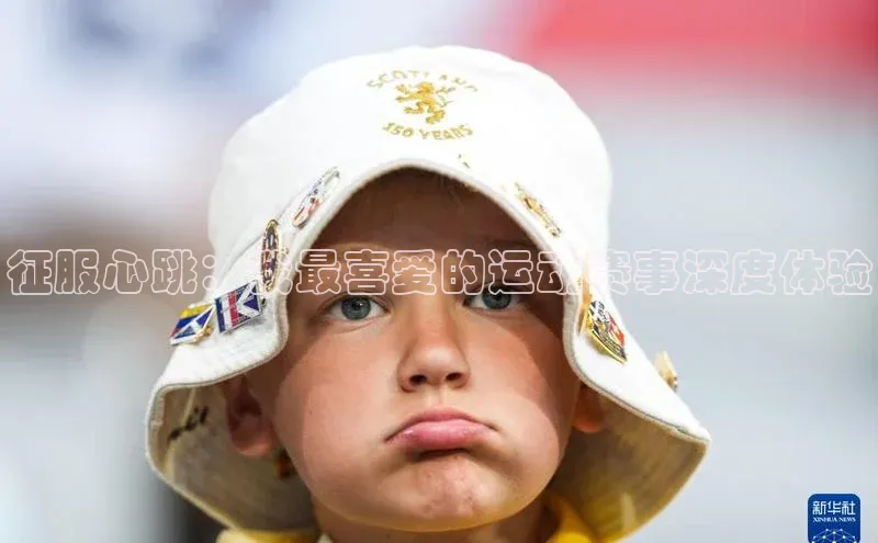 征服心跳：我最喜爱的运动赛事深度体验