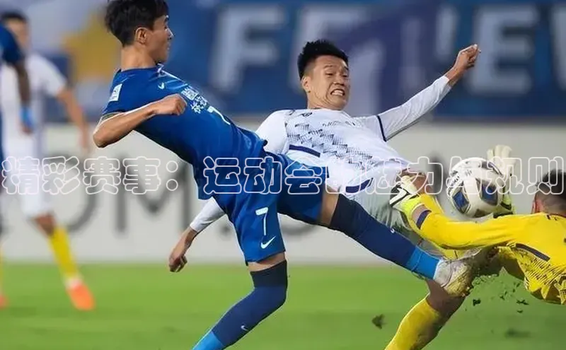 精彩赛事：运动会的魅力与规则