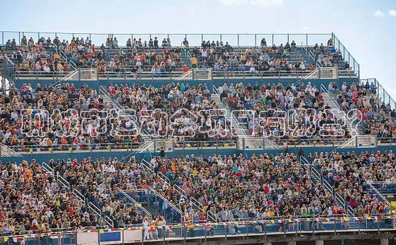 聊城市运动会项目有哪些？