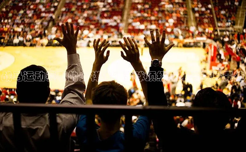 战马运动赛事的多样性：全球顶级骑术与赛马竞技