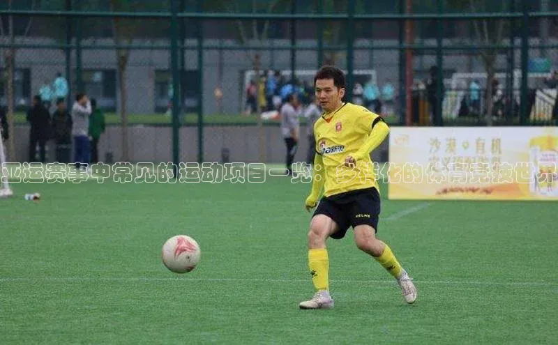 亚运赛事中常见的运动项目一览：多样化的体育竞技世界