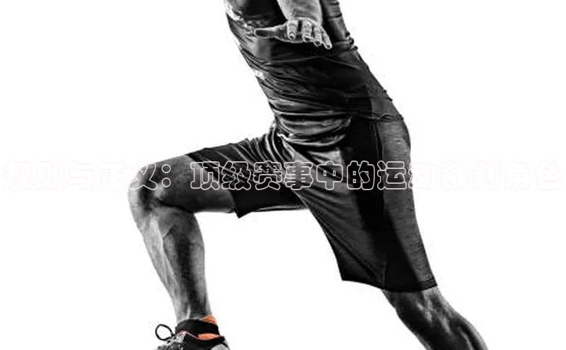 规则与正义：顶级赛事中的运动裁判角色