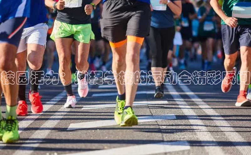 bb体育官网app下载