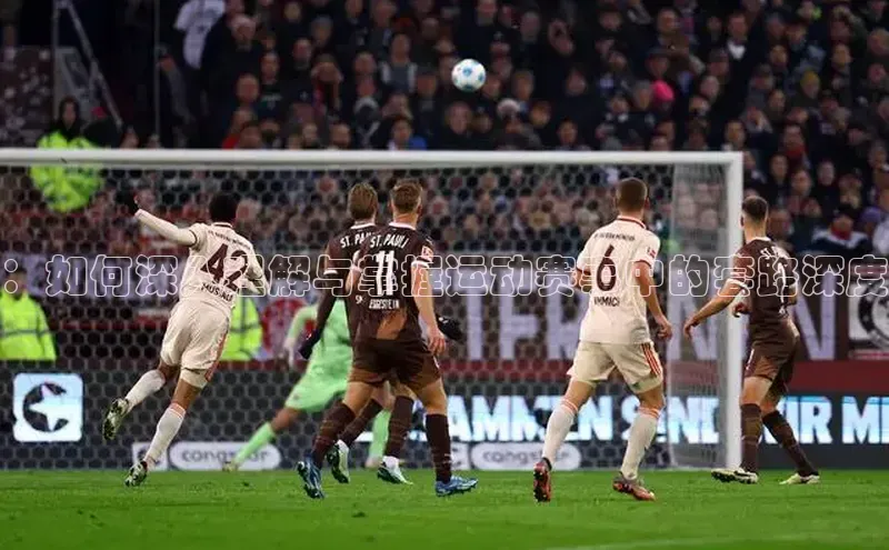 贝博betball体育app下载