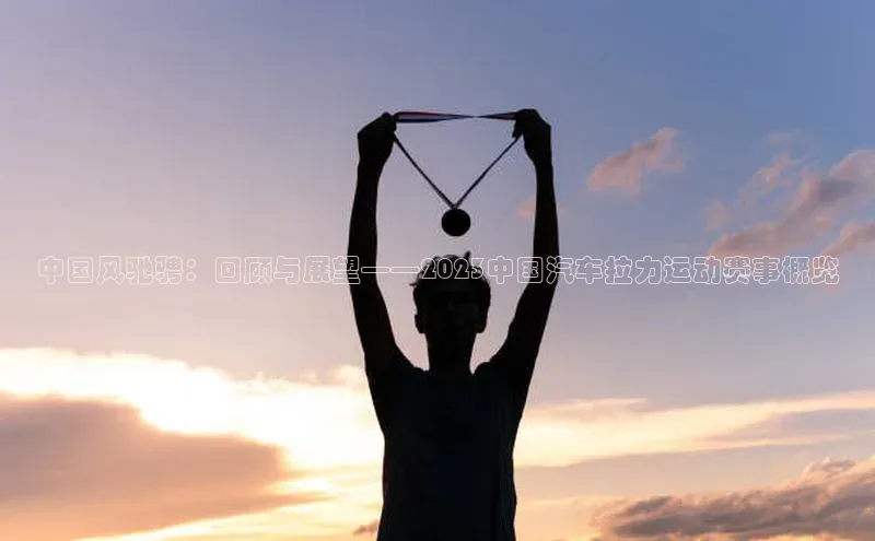 中国风驰骋：回顾与展望——2023中国汽车拉力运动赛事概览