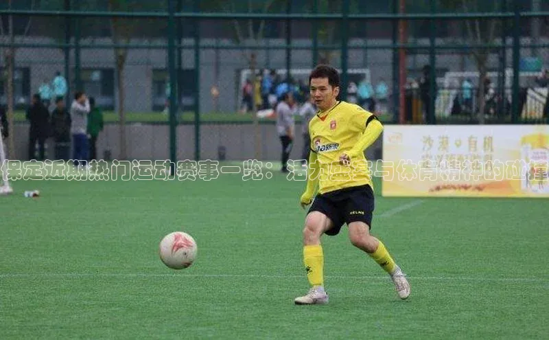 保定近期热门运动赛事一览：活力盛宴与体育精神的碰撞