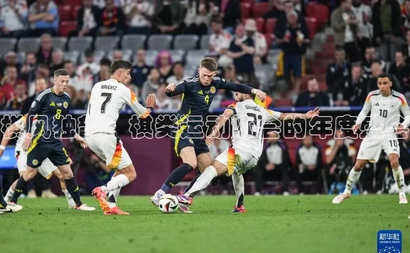 棋风独韵：棋类运动协会的年度盛会